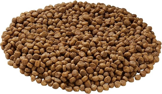 Health Extension Little Bites Dry Dog Food, Natural Food with Added Vitamins & Minerals, Suitable for Teacup, Toy & Small Dogs, Chicken & Brown Rice Recipe (10 Pound / 4.5 Kg)
