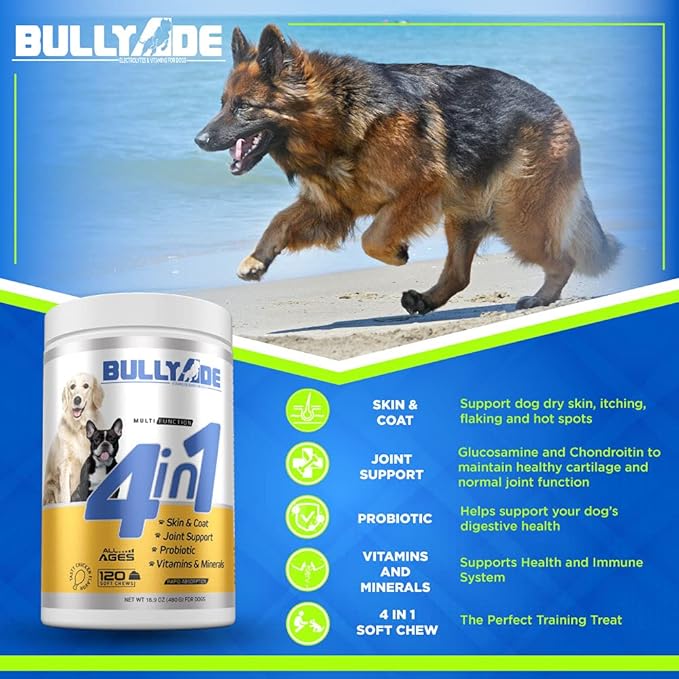 4 in 1 - Probiotic, Joint Support, Skin & Coat, Multi-Vitamin Soft Chews for Dogs, 16.9 oz