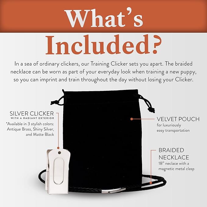 Silver Dog Clicker with Necklace - Clickers for Pet Training - Dog Training & Behavior Aids Easy to Carry with You Anywhere - Teach Your Dog Tricks or Reward His Behavior