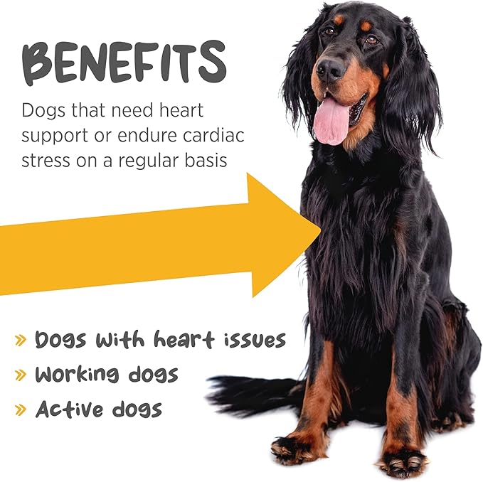 maxxicardio Heart and Cardiovascular Supplement for Dogs – Powder 5.3 oz