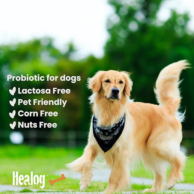 Probiotic for Dogs - 120 Chicken Flavored Soft Chews, Natural Dog Probiotics for Digestive Health, Gut Health for Dogs, Anxiety and Gas Relief, Diarrhea Control, 1 Billion CFU
