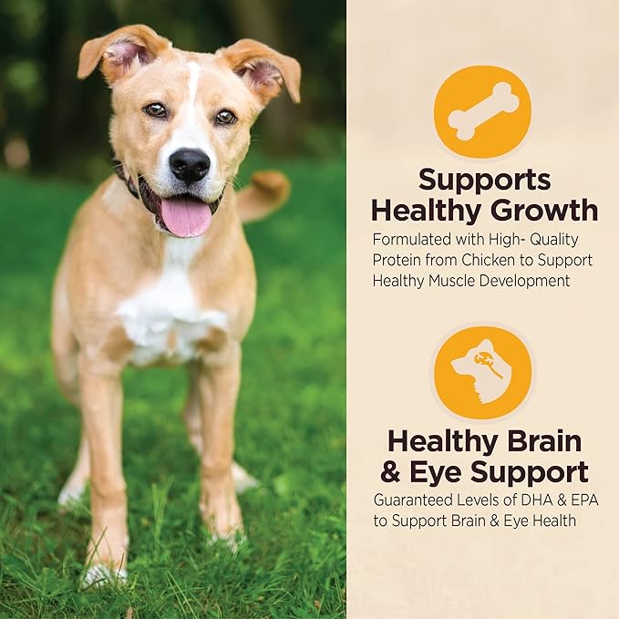 Wellness CORE Digestive Health Dry Puppy Food with Wholesome Grains, Highly Digestible, for Dogs with Sensitive Stomachs, Made in USA with Real Chicken (Puppy Under 1 Year, 4-Pound Bag)