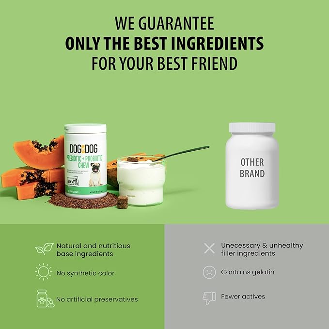 DOG for DOG Probiotics for Dogs - Digestive Enzymes for Dogs Support Gut Health | Probiotic & Prebiotic Chews Treat Diarrhea, Itchy Skin & Improves Gut Health | Made in The USA | 90 Bacon Flavor Chews