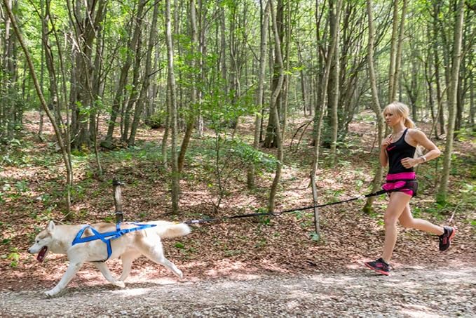 Neewa Tug Line with Bungee, to Run with Your Dog, Canicross, Bikejoring, Skijoring, Hands Free Dog Leash, Dog Joring, Tow Line (1.5-2.0m (5-6.5ft), Black)