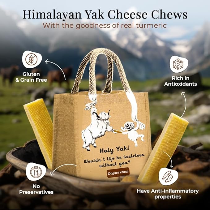 Dogsee Turmeric Flavor Himalayan Yak Milk Dental Chews for Dogs Bulk Pack 3lb (Large - 12 Chews) | Anti-inflammatory | Tasty & Healthy Treats | Premium Yak Chews for Dogs