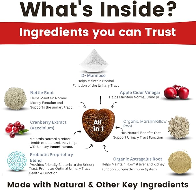 Cranberry Supplement for Dogs | Urinary Tract and UTI Support Chews | Incontinence and Bladder Control Nutritional Bites with D Mannose, Marshmallow Root, Probiotics, for Liver, Kidney