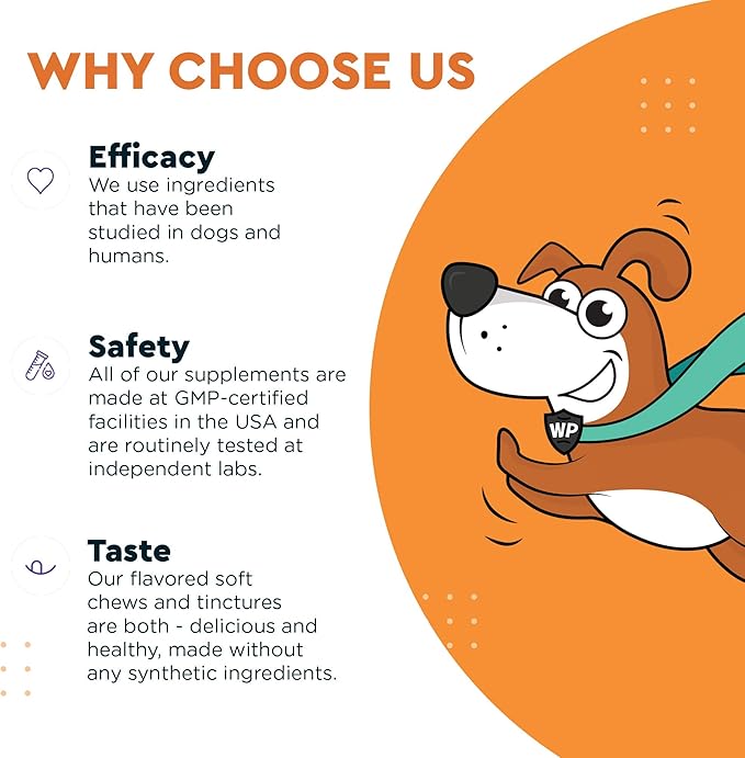 Probiotics for Dogs – Daily Probiotic Supports Gut Health, Digestion, Gas, Bloating, Constipation, Stomach Relief & Immune Support - With Natural Probiotic & Prebiotic – 90 Probiotic Chews