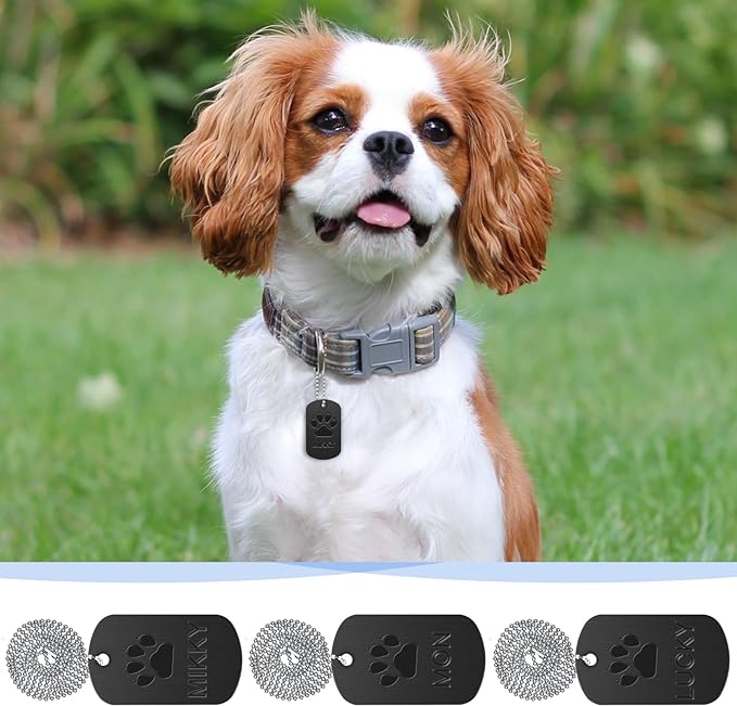 200Pcs Military Dog Tags, Rectangle Blank Metal Stamping Tags Set Including 100Pcs Aluminum Blank Dog Tags 100Pcs Ball Steel Chains Personalized Pets Tags for DIY Decorative Craft (Black)