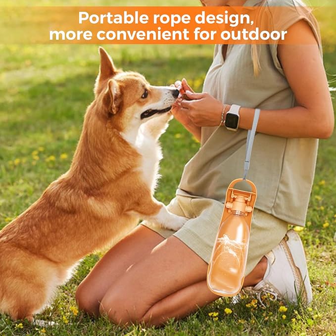 19oz Dog Water Bottle, Collapsible Dog Travel Water Bottle, Portable Dog Water Dispenser with Foldable Drinking Cup Bowl for Walking, Hiking, Lightweight, Leak-Proof, BPA Free, Orange
