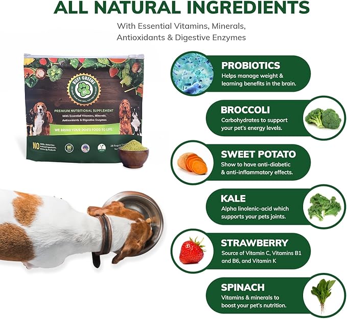 Ruff Greens - Hip & Joint Supplement For Dogs - Probiotics Digestive Enzymes Powder for Mobility Support, Essential Vitamins & Minerals, 6.9 ounce