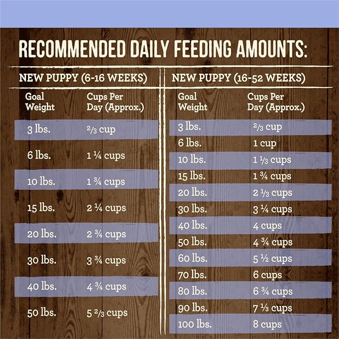 Merrick Dry Puppy Food, Real Beef and Sweet Potato Grain Free Dog Food Recipe - 10 lb. Bag