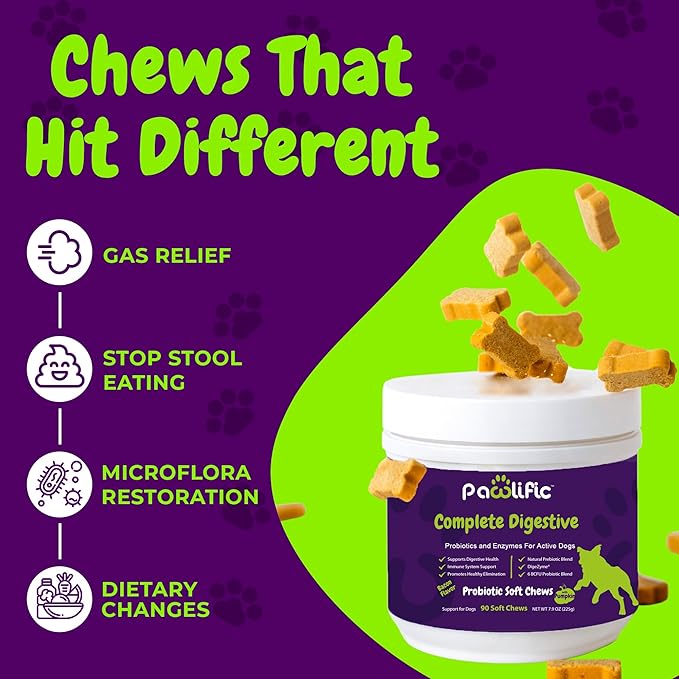 Probiotics and Digestive Enzymes for Dogs - Gut Flora, Digestive Health, Diarrhea & Bowel Support - Functional Dog Supplement Soft Chews for Immune System Boost with Pumpkin