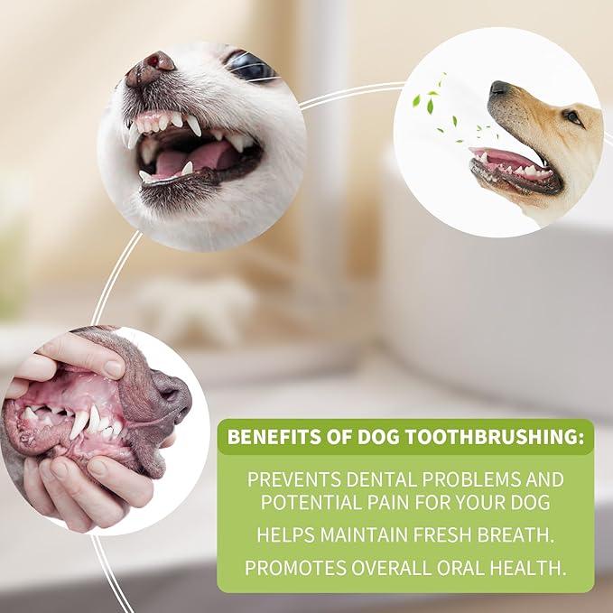 4Pack Dog Tooth Brushing Kit, Dog toothbrush for Pets, Puppy & Cat Dental Care for Teeth Cleaning