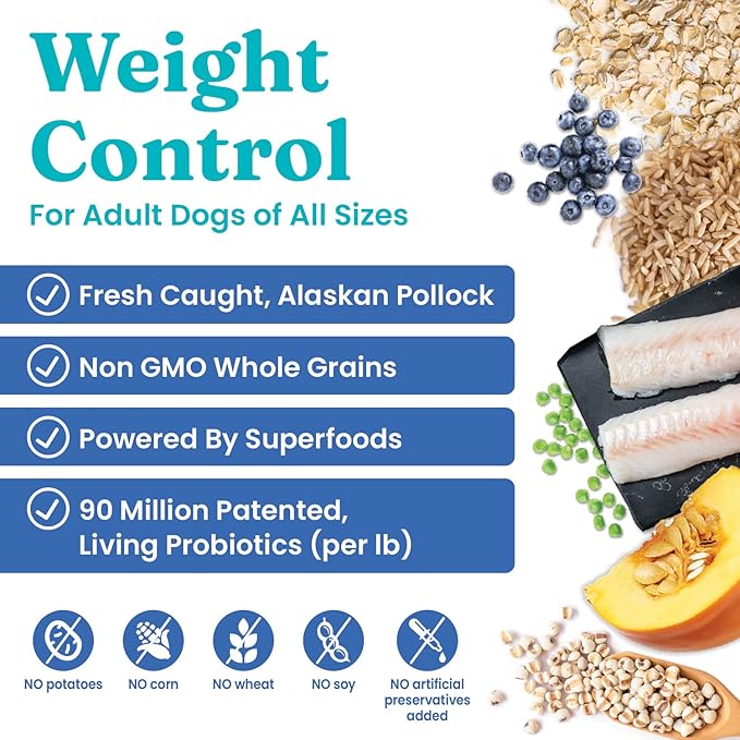 Solid Gold Fit and Fabulous Pollock - Dry Dog Food for Weight Control - Digestive Probiotics for Dogs - Gluten Free - High Fiber & Low Fat - Omega, Superfood & Antioxidant Support - 24 LB