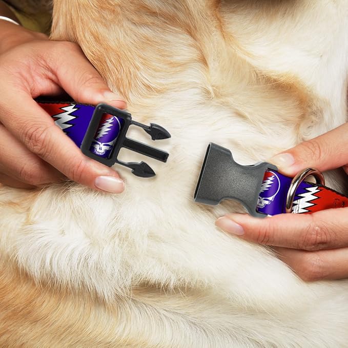 Dog Collar Plastic Clip Steal Your Face Lightning Bolt Repeat Red White Blue 11 to 17 Inches 1.0 Inch Wide