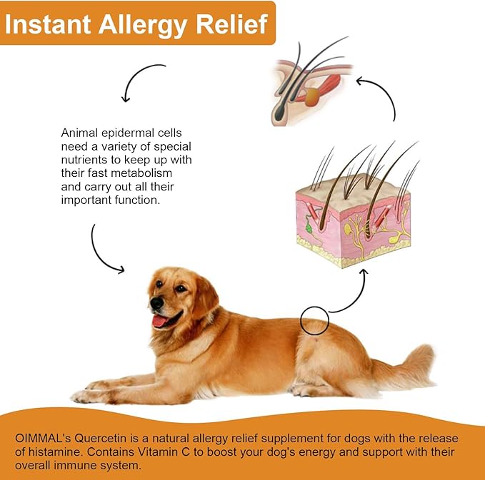 Quercetin for Dogs, Dog Quercetin with Vitamin C Supports Dogs Allergy Relief, Support Balanced Immune System, Pet Supplement Quercetin for Dog Allergies, Bacon Flavor - 1 Pack 60ml / 2.02oz