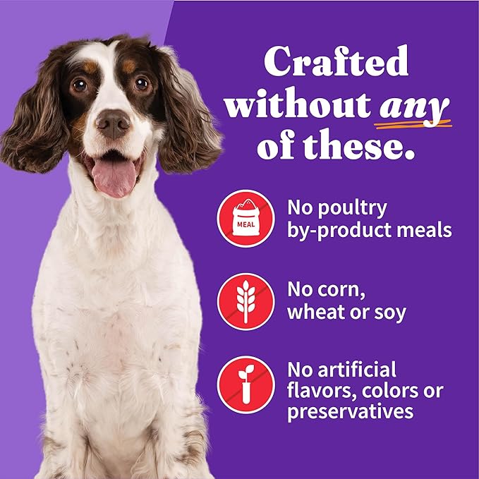 Halo Adult Wet Dog Food, Beef Recipe in Broth, Great as Nutritious Meals or Healthy Dog Food Toppers, 13.2 oz Dog Food Can (Pack of 6)