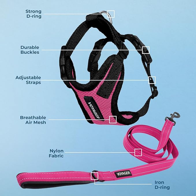Voyager Step-in Lock Dog Harness w Reflective Dog Leash Combo Set with Neoprene Handle 5ft - Supports Small, Medium and Large Breed Puppies/Cats by Best Pet Supplies - Fuchsia/Black Trim, L