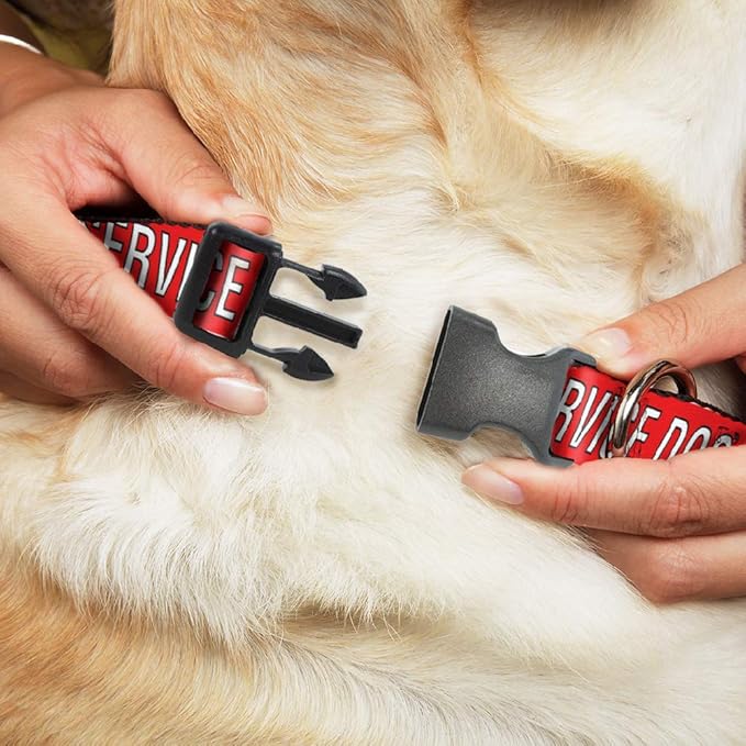 Buckle-Down Pet Collar, Dog Collar Plastic Buckle, Service Dog Text Red Black White, 8.5 to 12 Inches 0.5 Inch Wide