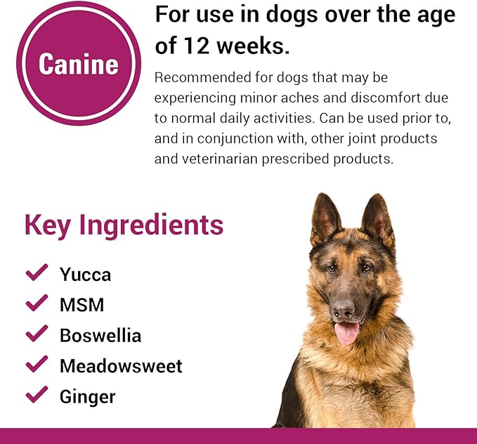 Vet Classics Pain Plus Extra Strength Health Supplement for Dogs - 120 Soft Chews