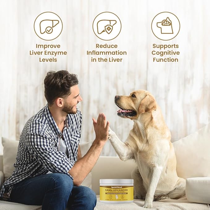 Same for Dogs - S-Adenosyl-L-Methionine, Same Advanced, Liver Support Supplement for Dogs, Brain and Cognitive Support, Sam e for Dogs (120 Grams, 2 Pack)