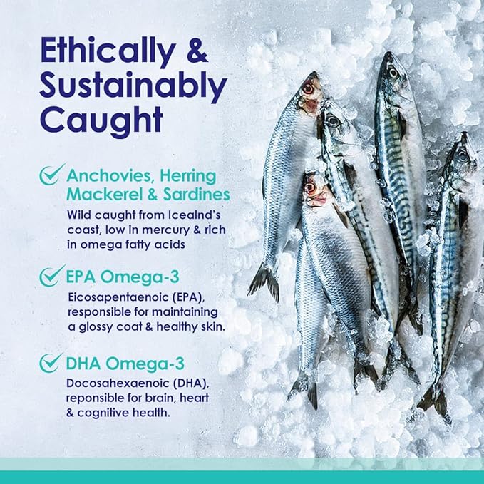 Pure Omega 3 Fish Oil for Dogs, Wild Caught from Iceland, Skin and Coat Supplement for Shedding, Dry Itchy Skin and Allergies, Rich in EPA + DHA with Omega 3, 6 & 9 Fatty Acids, 1000mg, 180 Capsules