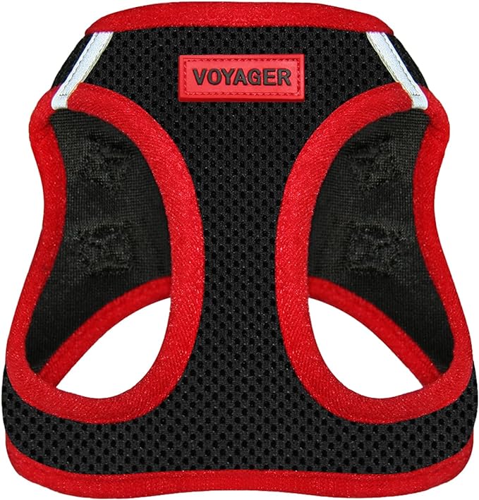 Voyager Step-in Air Dog Harness - All Weather Mesh Step in Vest Harness for Small and Medium Dogs by Best Pet Supplies - Red Trim, L