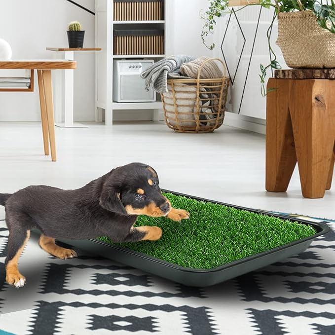 Dog Grass Pad with Tray, Dog Potty Grass for Puppy Training, Artificial Fake Grass for Dogs to Pee on Indoor Outdoor