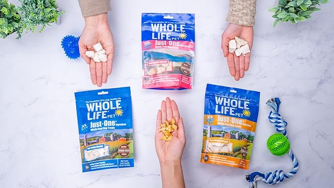 Whole Life Pet Just One Salmon - Dog Treat Or Topper - Human Grade, Freeze Dried, One Ingredient - Protein Rich, Grain Free, Made in The USA