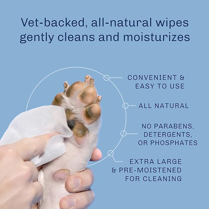 TrueBlue Super Fresh Body and Paw Wipes for Dogs and Puppies - Clean dirty paws and for deodorizing - Extra Large, Non-Toxic - 8"x7" - 100 Count