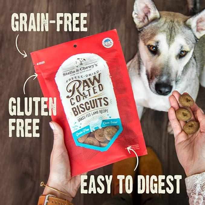 Stella & Chewy's Freeze-Dried Raw Coated Dog Biscuits – Grass-Fed Beef Recipe – Protein Rich, Grain Free Dog & Puppy Treat – Great Snack for Training & Rewarding – 9 oz Bag