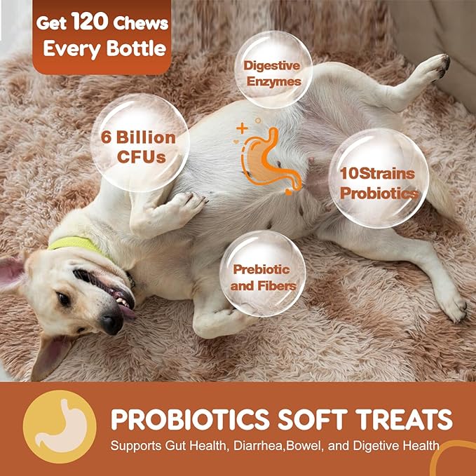 Probiotics for Dogs Dog Probiotics for Digestive Enzymes Health with pumpkin, Fish Oil, Enzymes, Supports Gut & Immune & Itchy - 104 Soft Chews