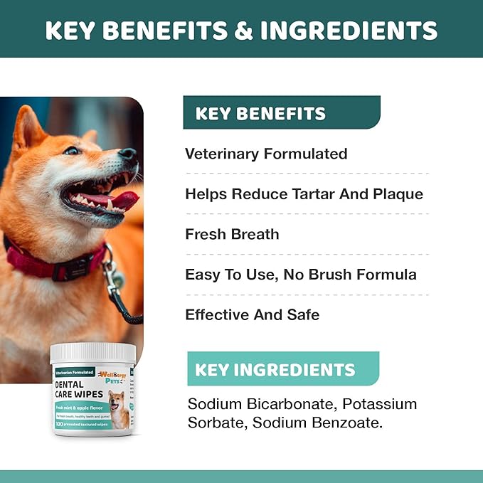Dental Wipes for Dogs and Cats - No Brush Formula; Improve Oral Hygiene and Health; Freshen Breath; Fresh Mint Flavor. 100 Wipes.