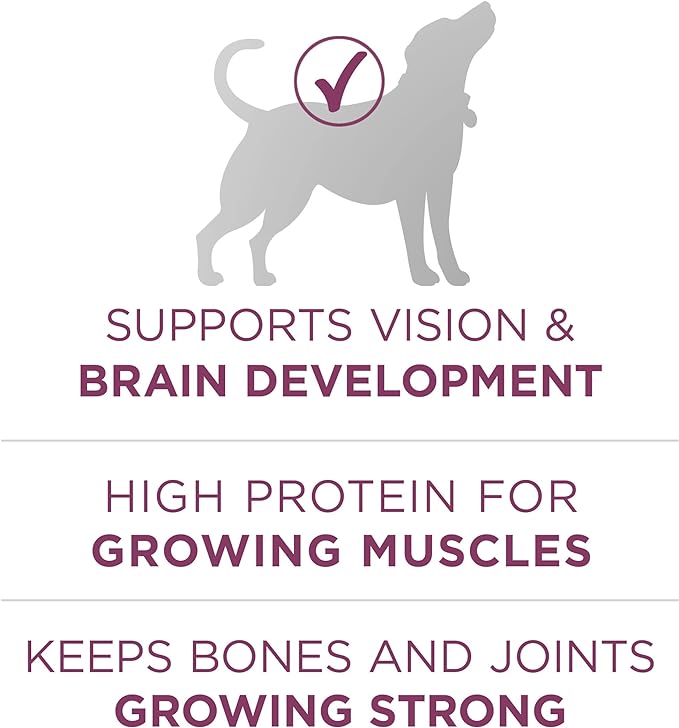 Purina ONE Plus Healthy Puppy Formula High Protein Natural Dry Puppy Food with added vitamins, minerals and nutrients - 31.1 lb. Bag