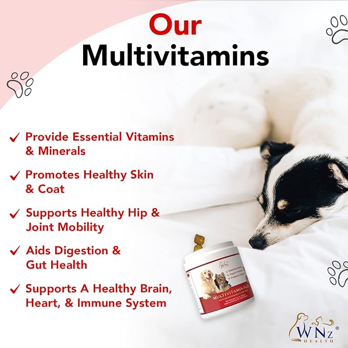 Dog Multivitamins and Supplements, Probiotics for Dogs w/Turmeric & Yucca, Probiotic Dog Chews for Brain Function, Gut & Immune Support, Joint Health & Anti-Inflammatory Supplement, 60 Chews, 8.4 oz