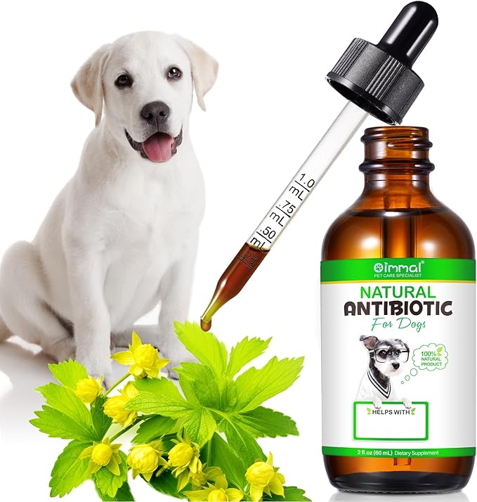 Natural Antibiotics for Dogs, Dog Antibiotics Natural Herbal Supplement, Dog Multivitamin Bacon Flavor-2 Fl Oz