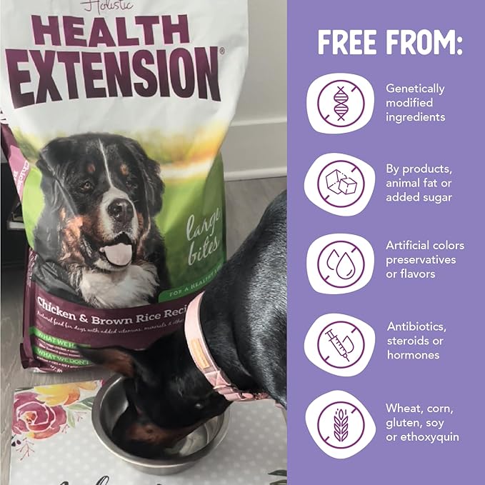Health Extension Large Bites Dry Dog Food, Natural Food for Adult Large Breed Dogs with added Vitamins & Mineral, Chicken & Brown Rice Recipe (30 lb / 13.6 kg)