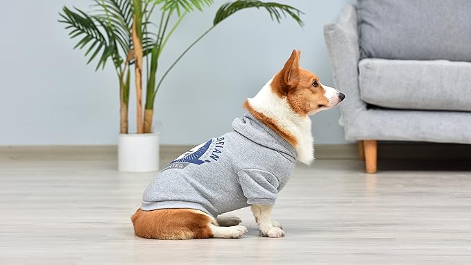 STAR WARS for Pets The MANDALORIAN Hoodie for Dogs with Leash Attachment Hole| STAR WARS Apparel for Dogs, Extra Small | Cozy Hooded Sweatshirt for Dogs, Gifts for STAR WARS Fans
