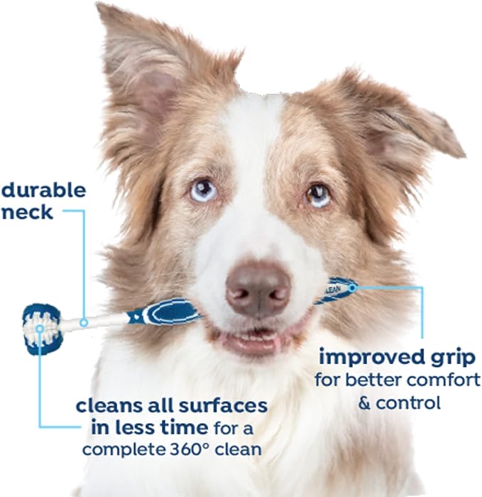 Fresh Breath Certified Wellness Collection Vet Strength Oral Care Kit for Large Dogs - Removes Plaque & Tartar - Freshens Bad Dog Breath - Teeth Cleaning Kit