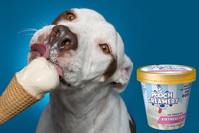 Pooch Creamery Ice Cream Mix for Dogs - Birthday Cake Flavor …