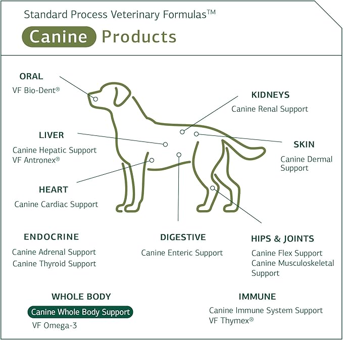 Standard Process - Canine Whole Body Support - Daily Supplement for Dogs - 100 Grams