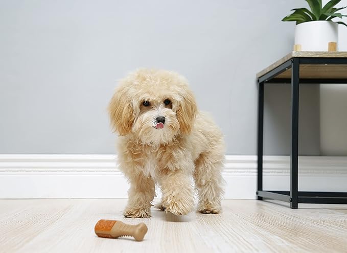 Hartz Chew ‘n Clean Chicken Flavored Drumstick Dog Treat & Chew Toy, Extra Small, 2 Pack