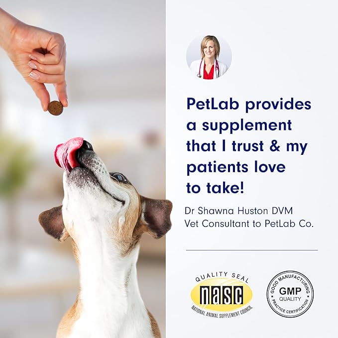PetLab Co. Itch Relief Chews - Support for Dry, Occasionally Itchy Skin & Coats - Formulated with Turmeric, Omega 3 & 6, Honey - Packaging May Vary