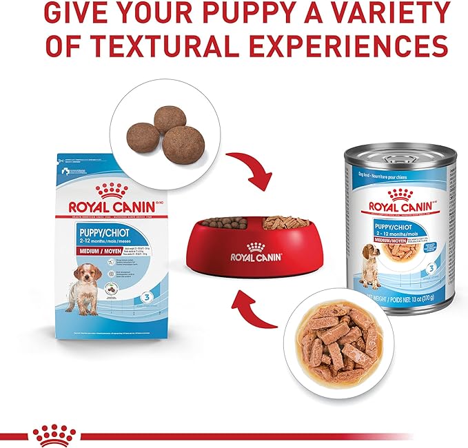 Royal Canin Size Health Nutrition Medium Puppy Thin Slices in Gravy Wet Dog Food, 13 oz can (12-count)