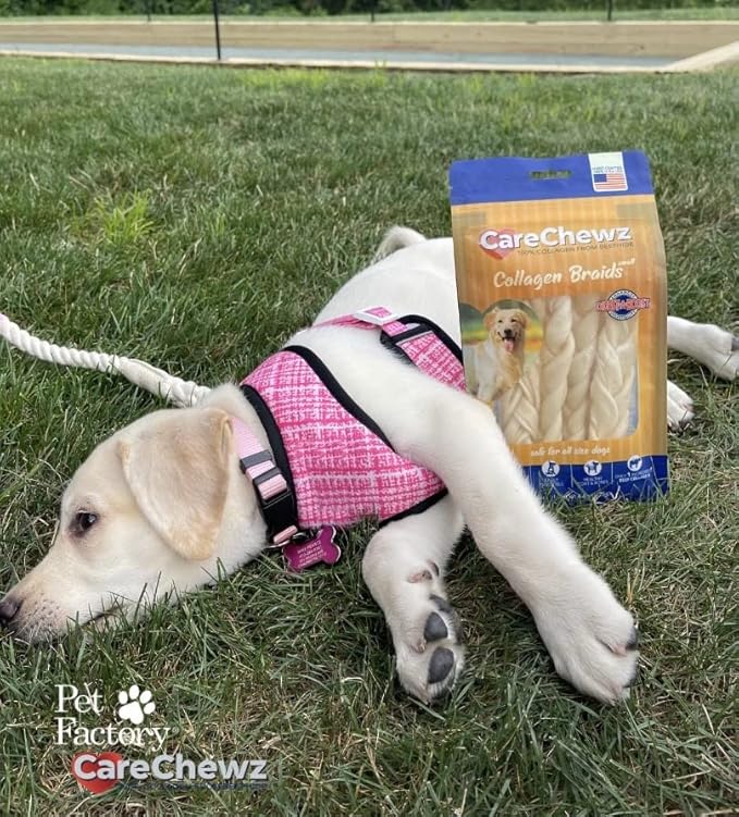 Pet Factory CareChewz Collagen 6-7" Skinny Braided Sticks Dog Chew Treats - Natural Flavor, 5 Count/1 Pack
