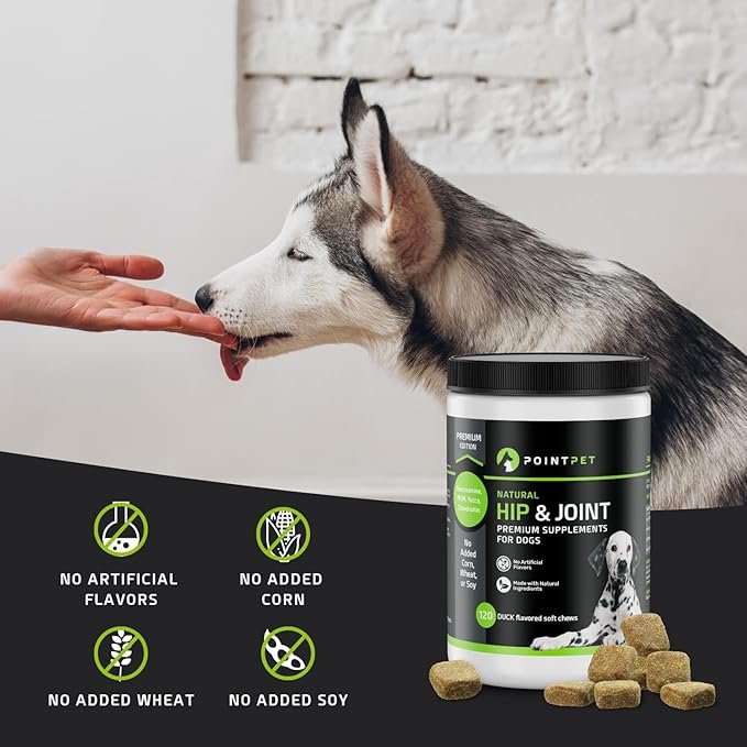 Glucosamine for Dogs - Hip & Joint Supplement - Dog Mobility Soft Chews Vitamin C & E for Hips and Joints, Duck and Pumpkin, Peanut Butter Formula (50 Soft Chews)