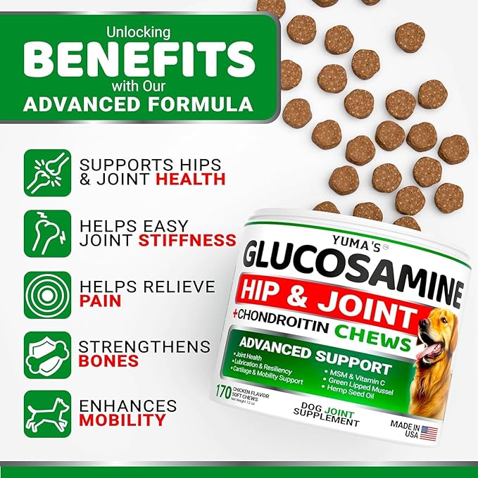 2-Pack Glucosamine for Dogs - Hip and Joint Supplement for Dogs - Glucosamine Chondroitin for Dogs Chews - Dog Joint Pain Relief with MSM - Advanced Dog Joint Supplement Health - Mobility Support