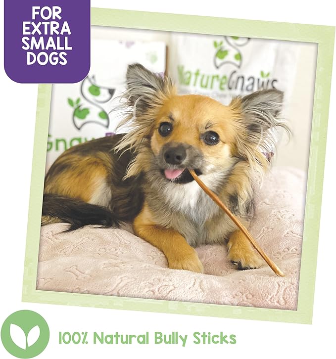 Nature Gnaws - Extra Thin Bully Sticks for Dogs - Premium Natural Beef Bones - Long Lasting Dog Chew Treats for Small Dogs & Puppies - Rawhide Free - 6 Inch