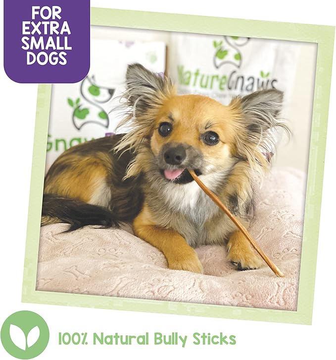 Nature Gnaws - Extra Thin Bully Sticks for Dogs - Premium Natural Beef Bones - Long Lasting Dog Chew Treats for Small Dogs & Puppies - Rawhide Free - 6 Inch