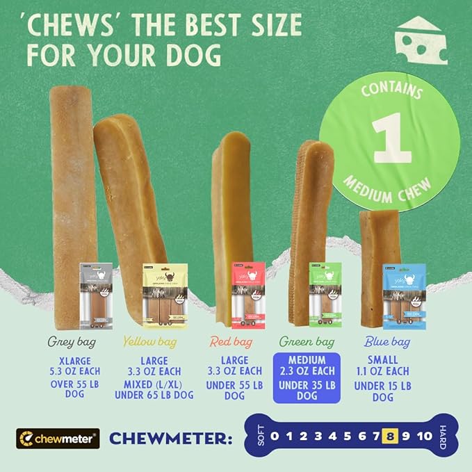 Chewmeter Himalayan Yaky Cheese Chew, 100% Natural, Long Lasting, Gluten Free, Healthy & Safe Dog Treats, Lactose & Grain Free, Protein Rich, Stain Free, Medium, For Dogs 35 Lbs & Under, 2.3 oz